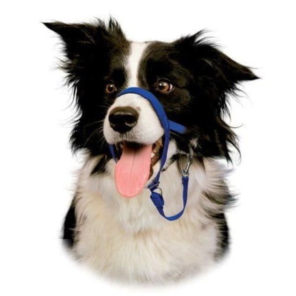 Halti Educational Anti-Pull Training Grimma för hundar Storlek 2 Svart