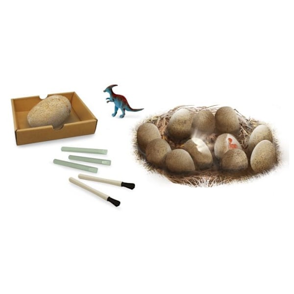 Dino Egg Maxi Pack Buki Box - 12 dinosaurier - Utgrävningsverktyg - Bricka - Affisch Flerfärgad