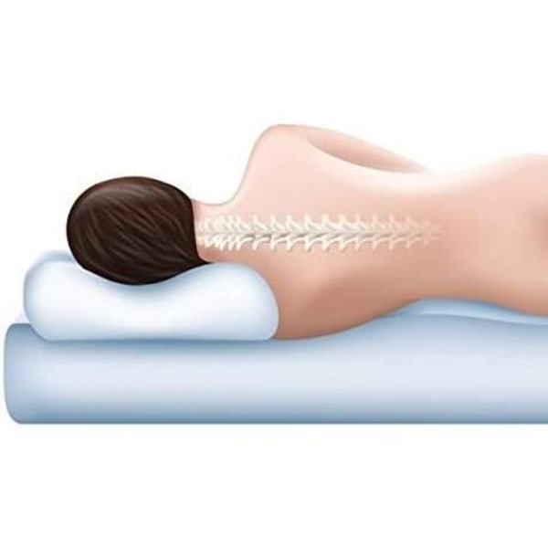Viscoelastiskt kudde Todocama 105 cm