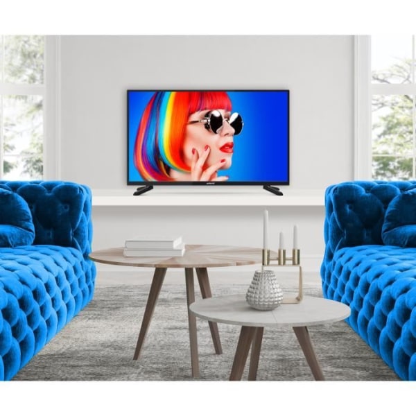 POLAROID LED TV 42'' Full HD - 2 HDMI 2 USB 2.0 - Hörlursutgång - CI+