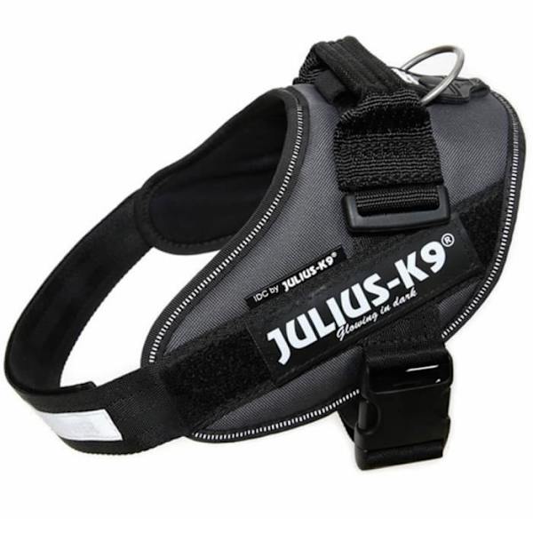 Julius K9 IDC Hundsele Storlek 0 Antracit 16IDC-ANT-0