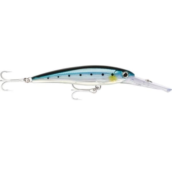 RAPALA X-RAP MAGNUM DYKLOCK - 12CM