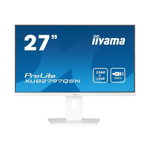 - iiyama - iiyama ProLite