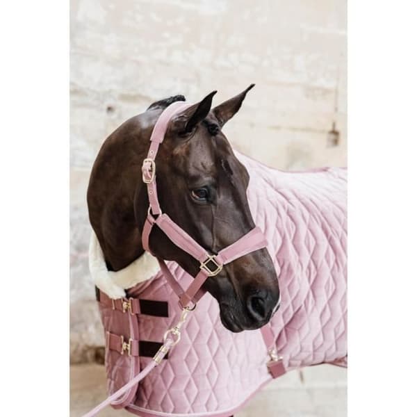 Kentucky Basic repridkabel - gammalrosa - 200 cm