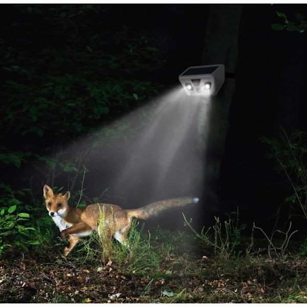 Technaxx FullHD solar utomhuskamera med LED-belysning TX-156