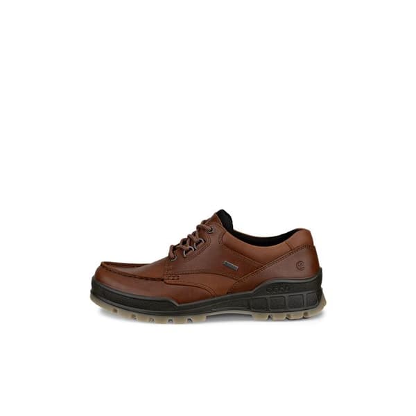 Ecco Track 25 GTX segelskor - bison/bison bison/bison 39