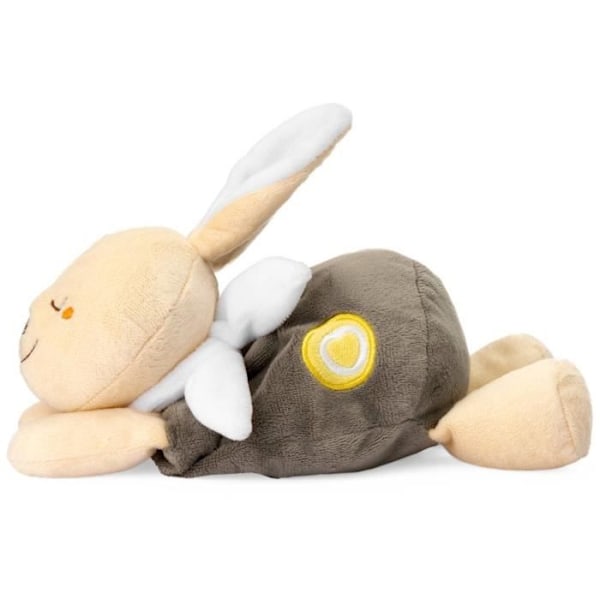 Värmebärande kanin - CHICCO - Beige - Från födseln Beige