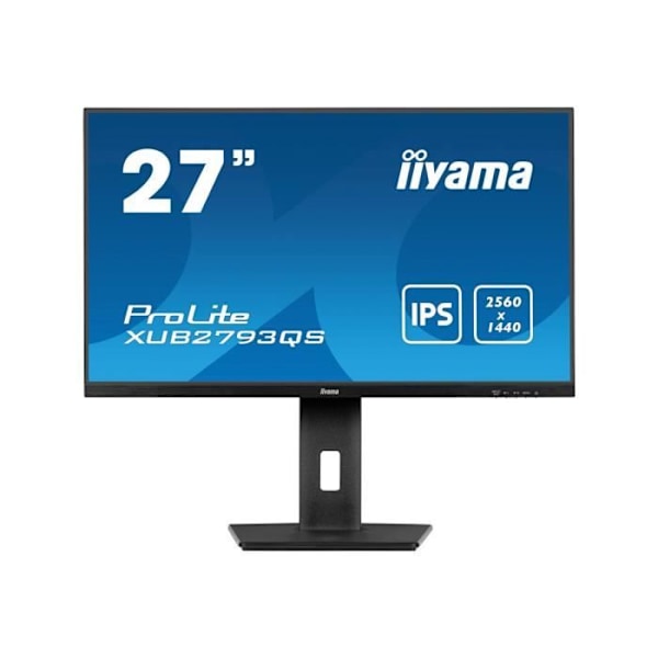 - iiyama - iiyama ProLite