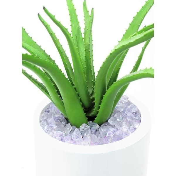 Aloe vera växt 63cm