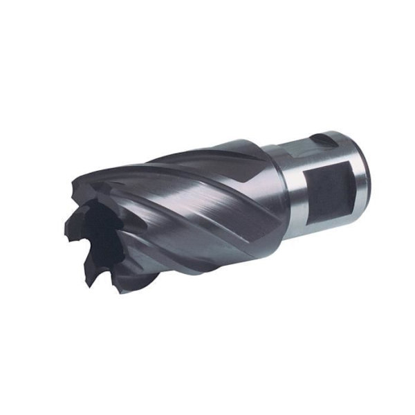 Ruko 108228 F HSS TiAIN hålfiberborr, framtida Weldon-skaft (28 mm) - 108228F