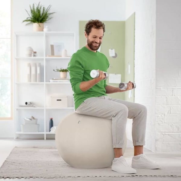 Sittball - Leitz - 65 cm - Ljusgrå - Stöder upp till 120 kg - Kullagringssäker TÜV Ljusgrått