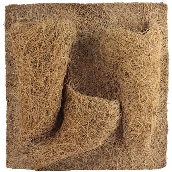 Coco bakgrundsdekor för terrarium för plantering 30 X 30 X 1 cm REPTILES-PLANET