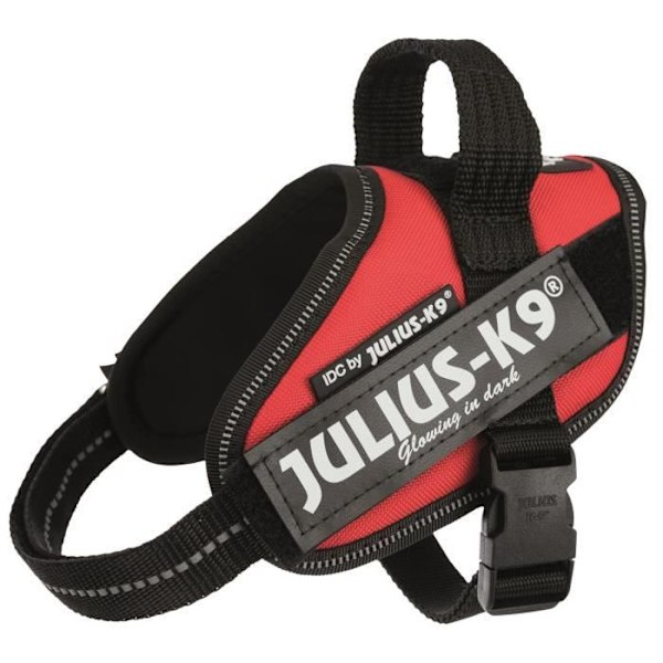 Hundsele - JULIUS K9 - Power IDC Mini-Mini-S - Röd - Hållbar och bekväm Röd