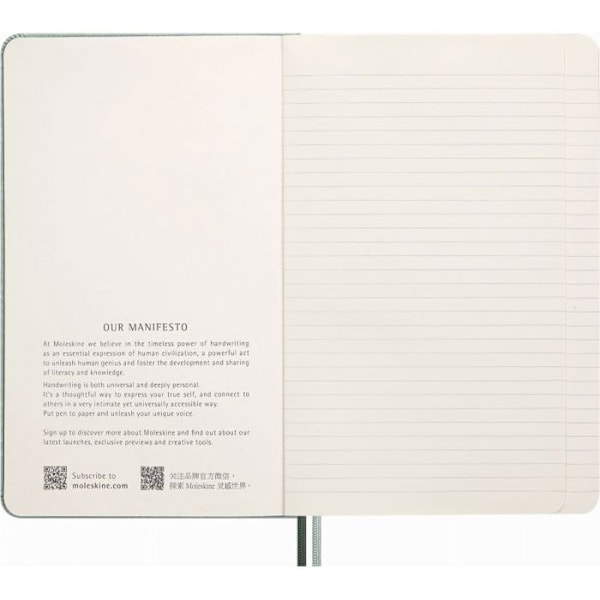 Moleskine Snake Notebook 2025, L, syntetiskt ormskinn, linjerad, 13 x 21 cm, i en låda, grön