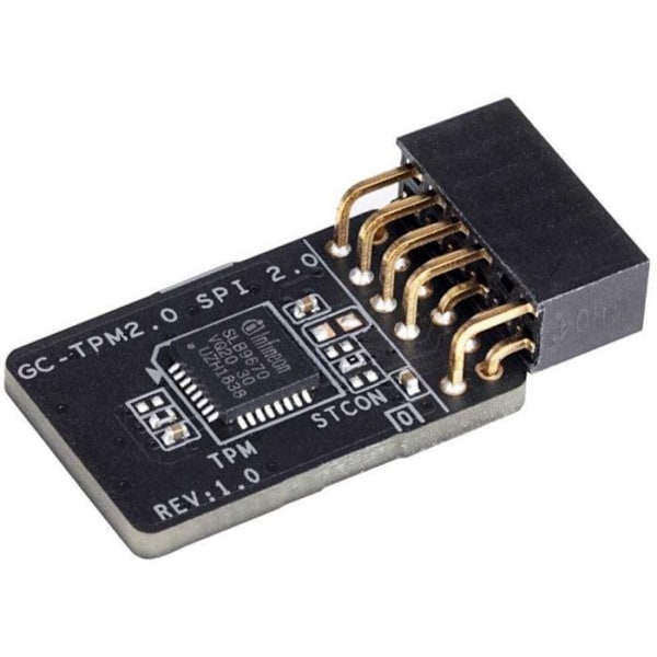 Gigabyte moderkort TPM MODULE ACC Mo/TPM2.0 SPI V2.0