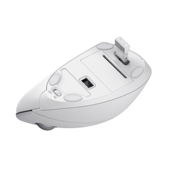Trust Verto Ergonomic Vertical Wireless Mouse, Prevention of Mouse Syndrome and Epicondylit, PC / Laptop / Mac - Vit