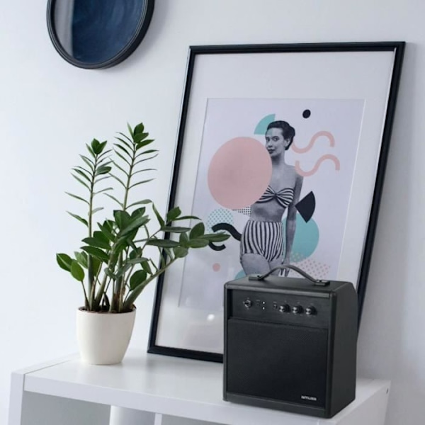 MUSE M-660 BT - Bluetooth-högtalare - 100W - Bärhandtag - Justerbar diskant och bas - Trähölje - Svart