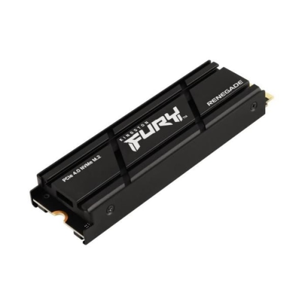 Kingston SSD-enhet FURY Renegade 1TB PCI-e 4.0 NVMe 7300/6000 - 0740617331073