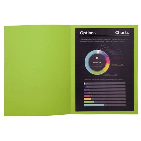 Skjortor - Exacompta - 210013E - Paket med 100 - Papper 220g - Färg Mint - A4 Mynta