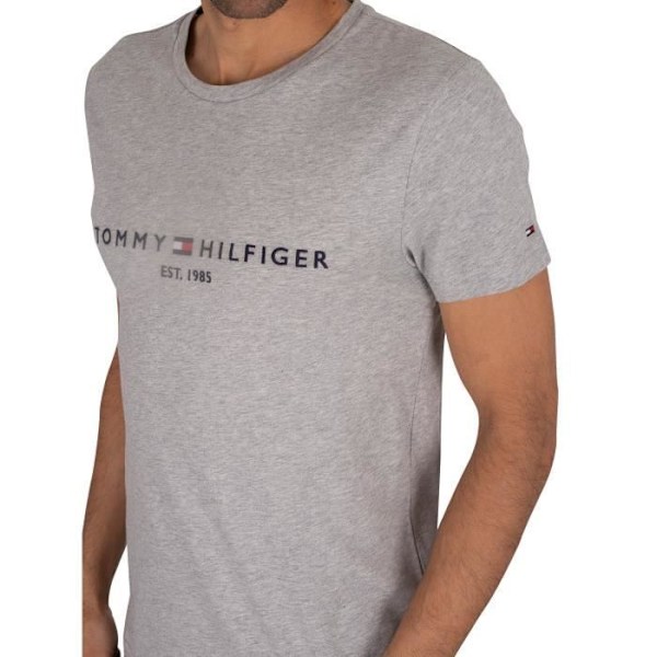 Tommy Hilfiger Herr Core Logo T-shirt, grå Grå jag