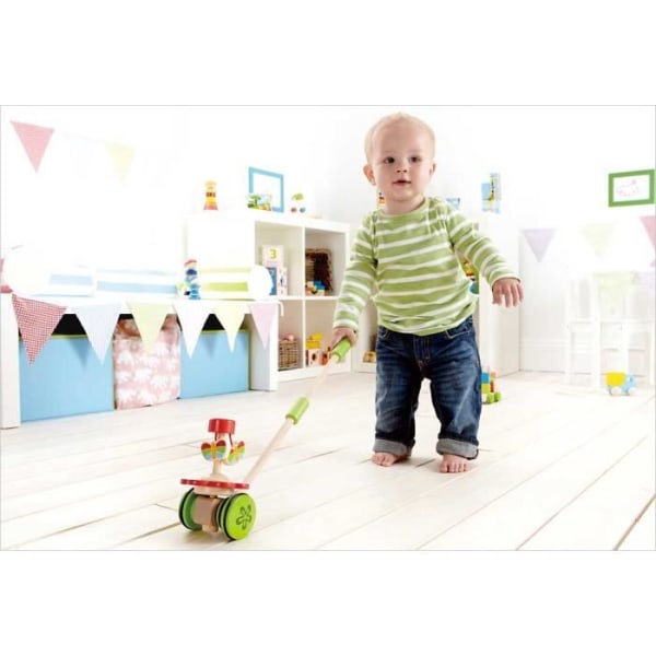 Hape Dansande fjärilar Push Cane Flerfärgad