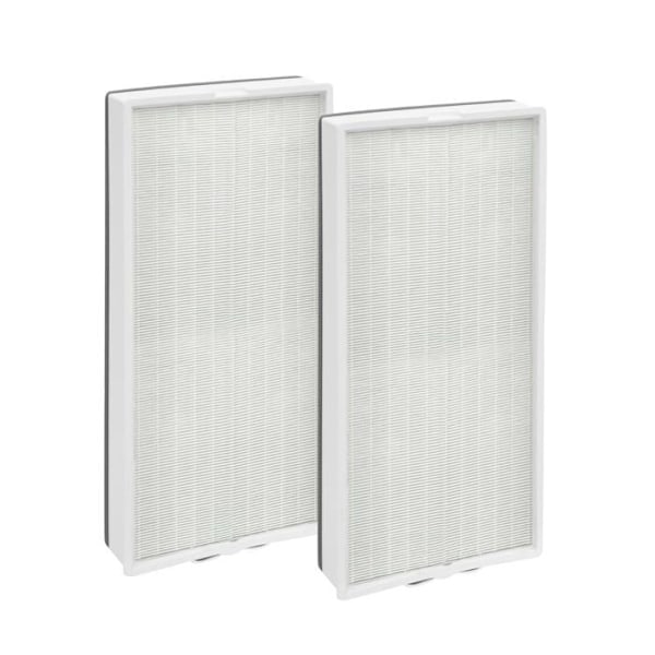 Grundläggande - F-6059 - Amazon - Ersättningsfilter för 2-pack luftrenare, äkta HEPA-filter, 96 m