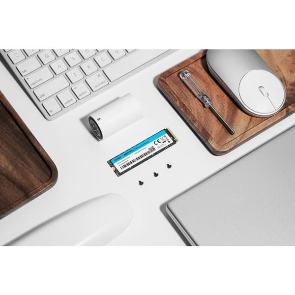 LEXAR - NM1090 - SSD-hårddisk - 4 To - M.2 2280 PCIe Gen 5x4