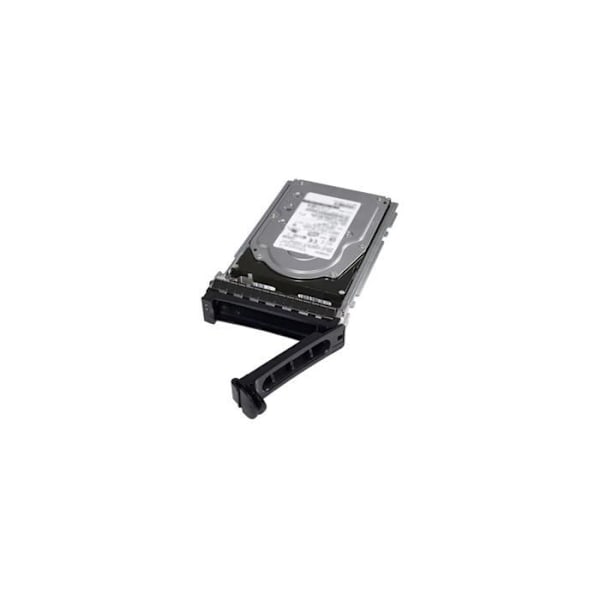 DELL hårddisk - 2,5" intern - 1,20 TB - SAS (12 Gb/s SAS) - 10 000 rpm - Hot-swappable