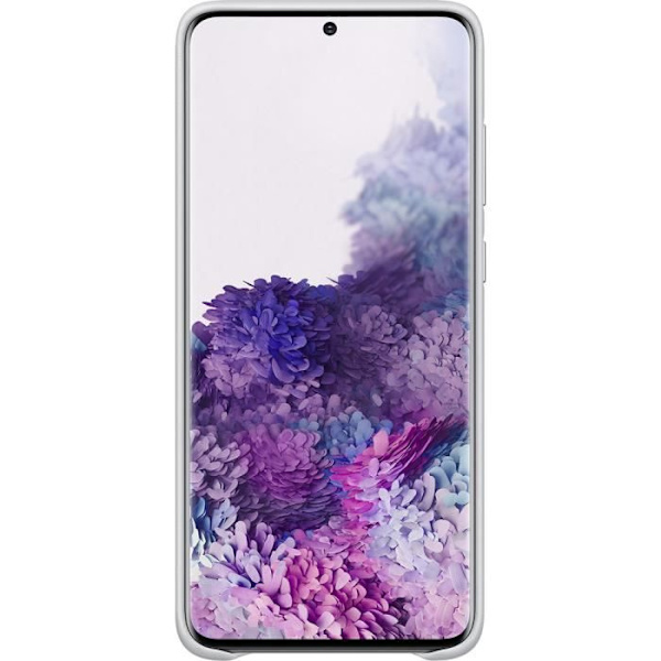 Ljusgrått Samsung läderhårt skal till Galaxy S20+