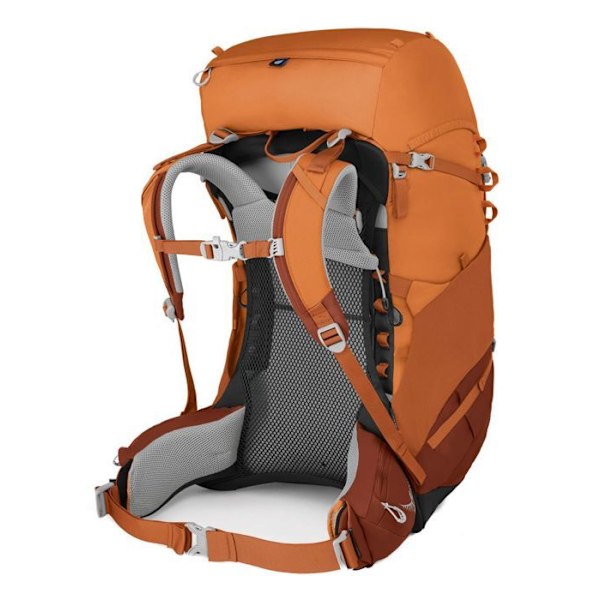 Osprey Orange Brun Ryggsäck för flickor och pojkar - Ace 50 Orange Sunset 83384 orange, brun