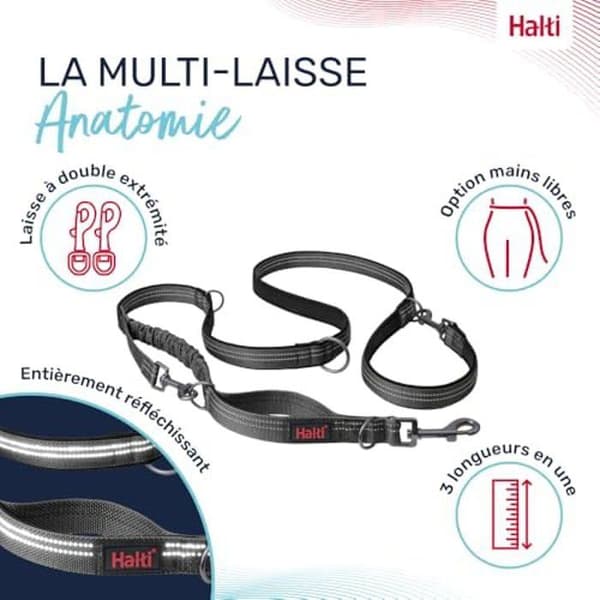 Multifunktionskoppel - HALTI - Anatomi - Reflekterande - Absorberande resår - 2 meter Grå
