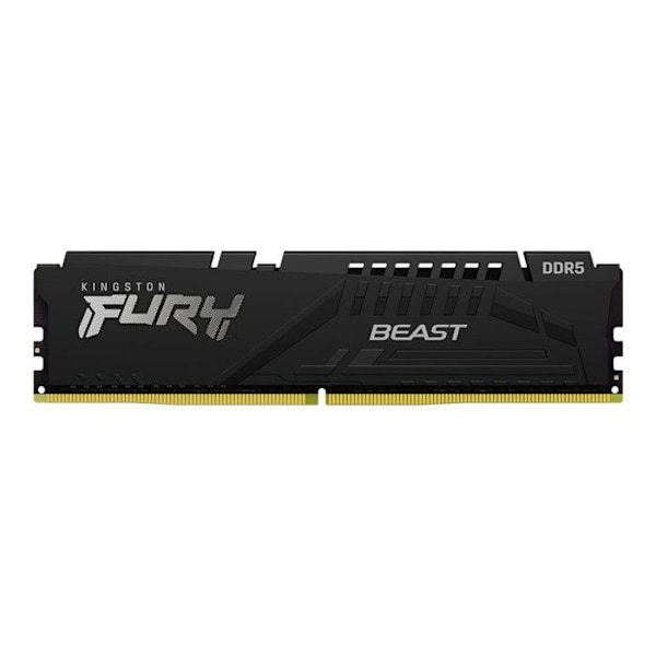 Minnesmodul - Kingston - Kingston FURY Beast - DDR5 - modul - 32 GB - 288 pin DIMM - 6000 MHz / PC5-48000 - minne utan ta