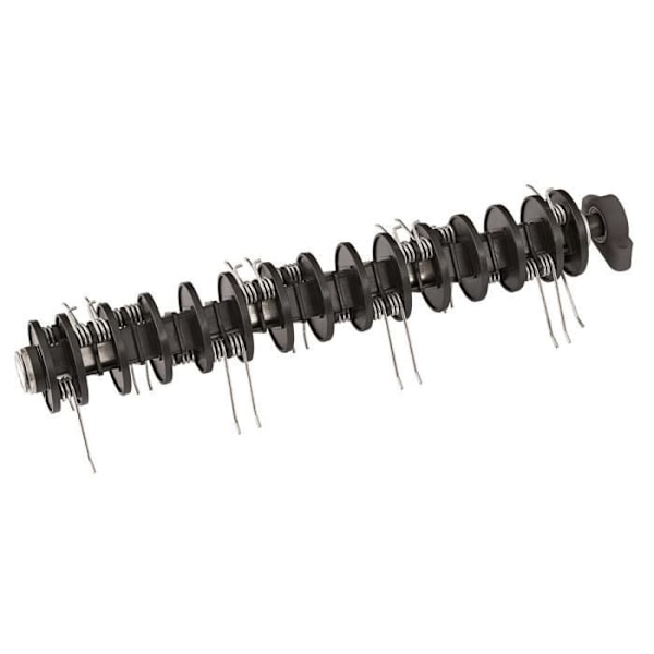 Luftningsvals - EINHELL - GE-SA 1640 - Elektrisk - Svart - 1,08 kg Svart