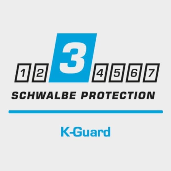 Schwalbe Smart Sam Däck svart