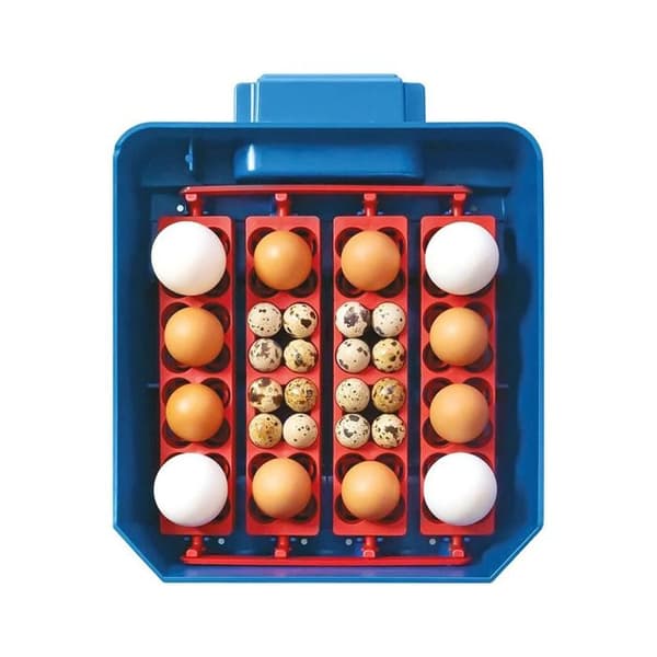 Automatisk äggkläckare 16 ägg Borotto Lumia blå
