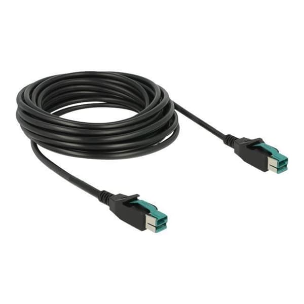 DeLOCK USB-strömkabel USB PlusPower (12 V) (M) för USB PlusPower (12 V) (M) 12 V 5 m svart