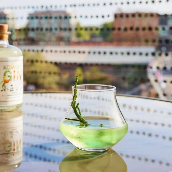 Rom & Whiskyglas 30cl Open Up Spirits - Chef&Sommelier Transparent