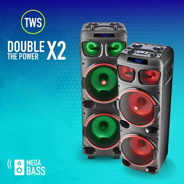 Bärbar högtalare - NGS - WILD DUB 1 - 300W - Bluetooth - True Wireless - Svart Svart