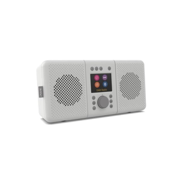 Radio Internet - PURE - Elan Connect+ - TFT-skärm 2,4 tum - Bluetooth 4.2 - Kompakt Grå