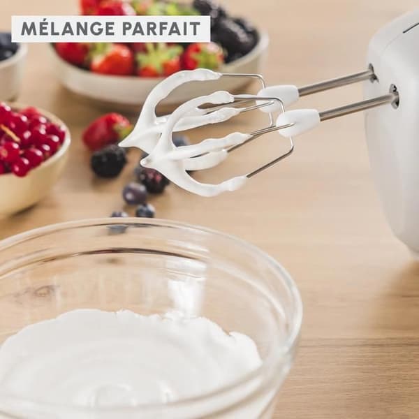 Moulinex Easy Max, Visp, Perfekt blandning, Peppar, HM262BF0 Peppar