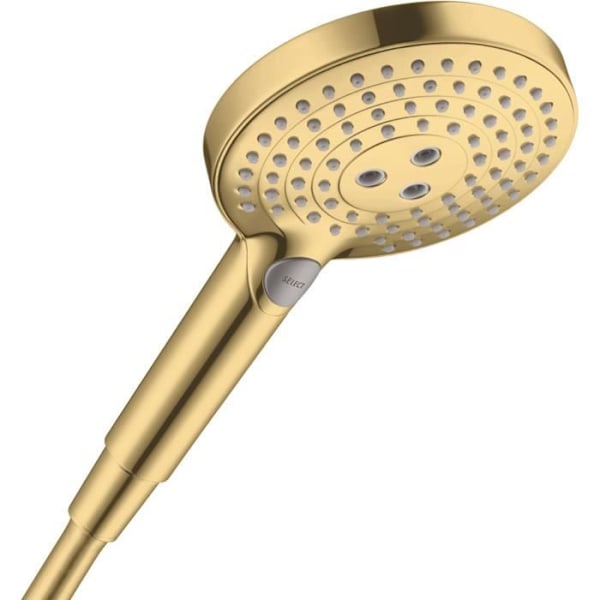HANSGROHE Handdusch 120 3jetpolerad guldfinish Raindance Select S Gul