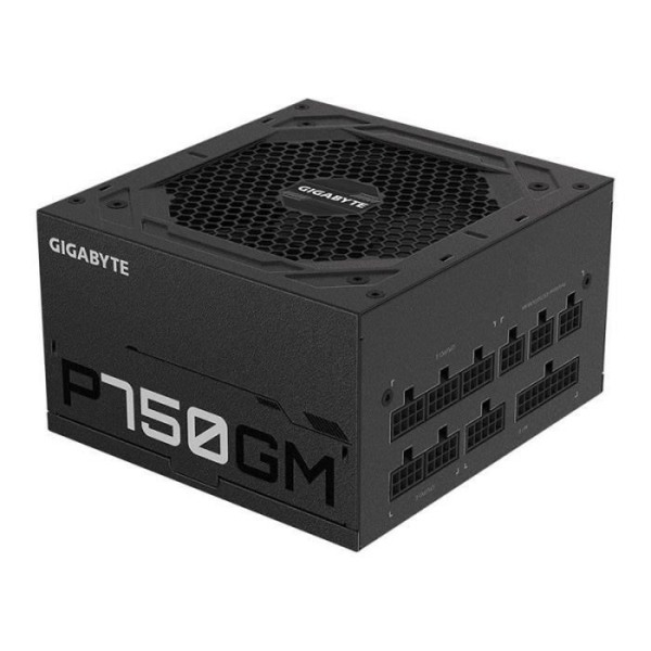 GIGABYTE P750GM strömförsörjning 750 W 20+4 pin ATX ATX Svart - GP-P750GM Svart