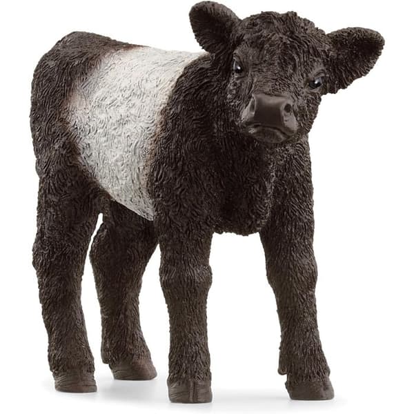 Galloway kalvfigur Svart