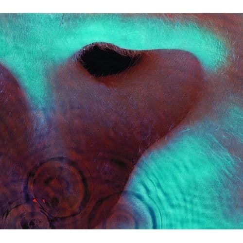 Pink Floyd - Meddle [CD]