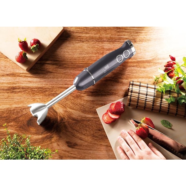 BLENDER RÄNCH BERLINGER HAUS BH-9382