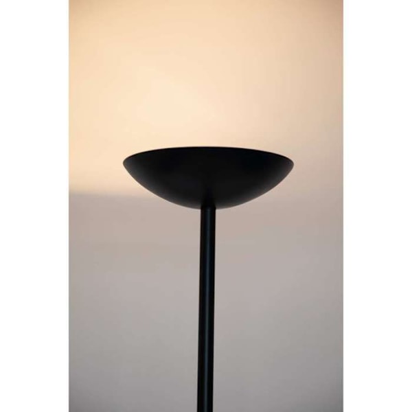 Lampstand - MAUL - MAULsky - Svart - Halogen - 1 glödlampa R7s Svart