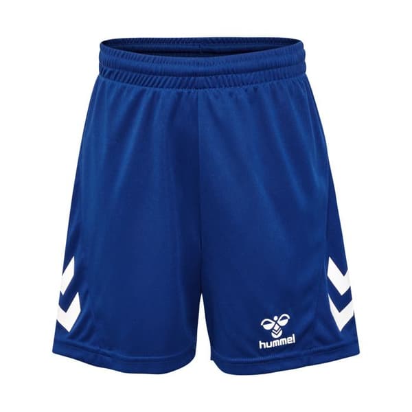 Set t-shirt + shorts barn Hummel Logo - blå blå 8 år