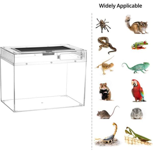 Reptilfoderlåda - QWORK - 30x18x22cm - Transparent - Ventilerad - Säkerhetslås Transparent