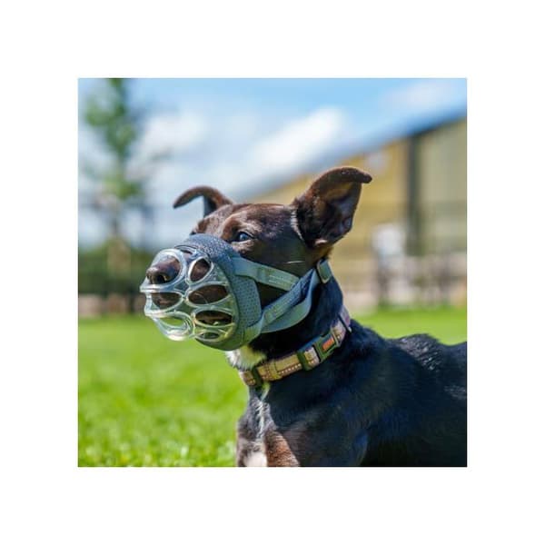 Muzzle - Baskerville - INVISA - Storlek 1 - Vadderad - Justerbar - Bittålig