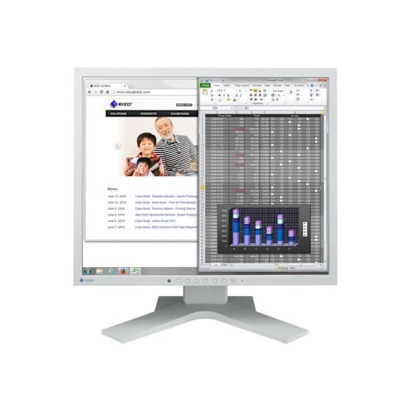 EIZO FlexScan S1934H - 19" IPS LED-skärm - 1280 x 1024 - 250 cd-m² - 1000:1 - DVI-D, VGA, DisplayPort - Grå